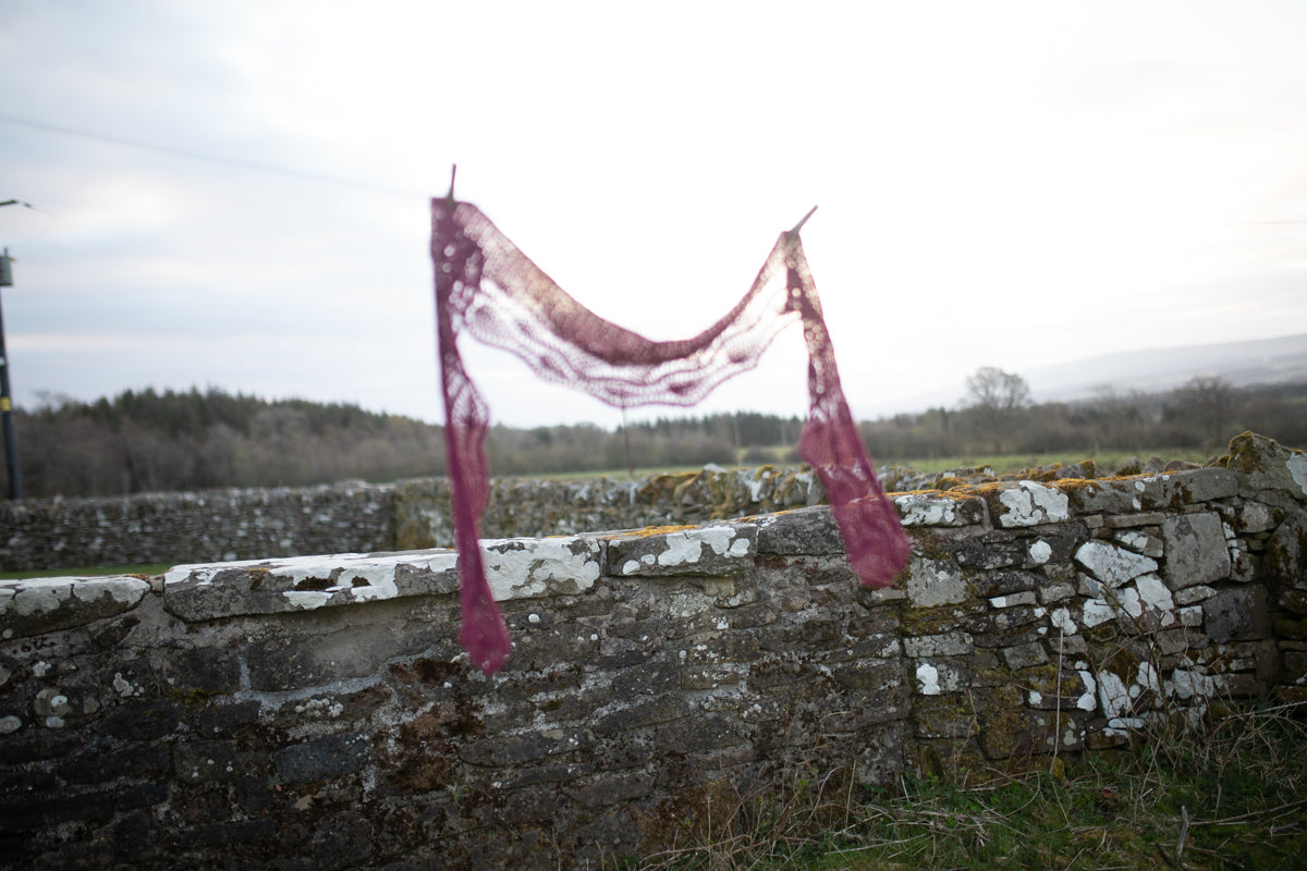 a lace shawl is hung on a washing line, light shines through.