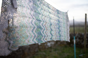 The Shawl Project: Book Five in Print
