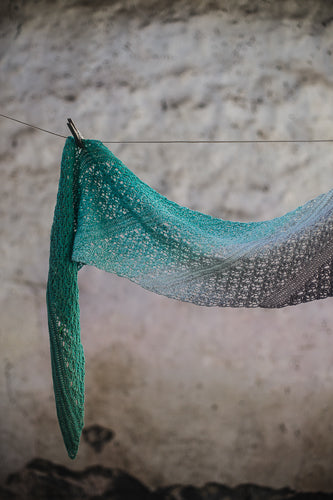 The Shawl Project: Book Four in Print