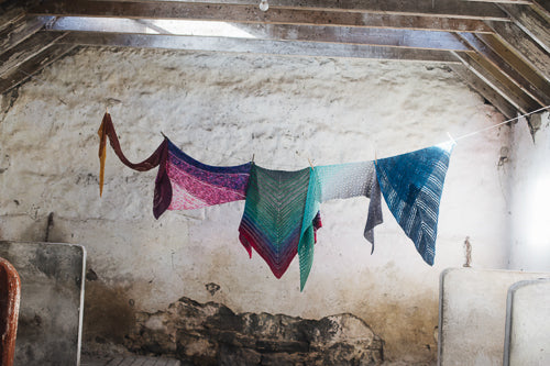 The Shawl Project: Book Four in Print